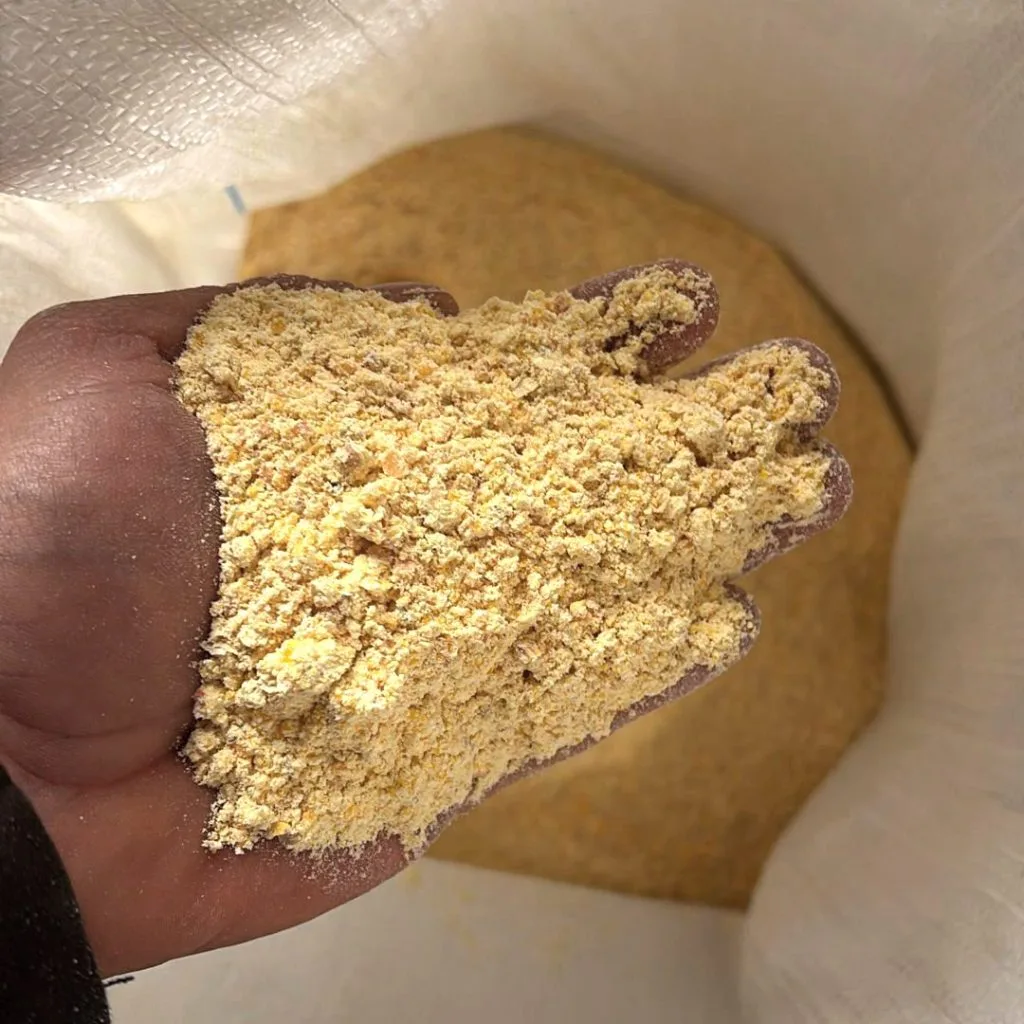 Cum arata faina malai furajer