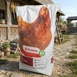 gaini ouatoare protena 20kg