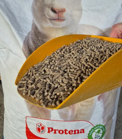 Granule Miei Rumegatoare Protena