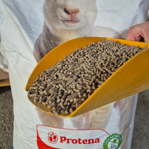 Granule Miei Rumegatoare Protena