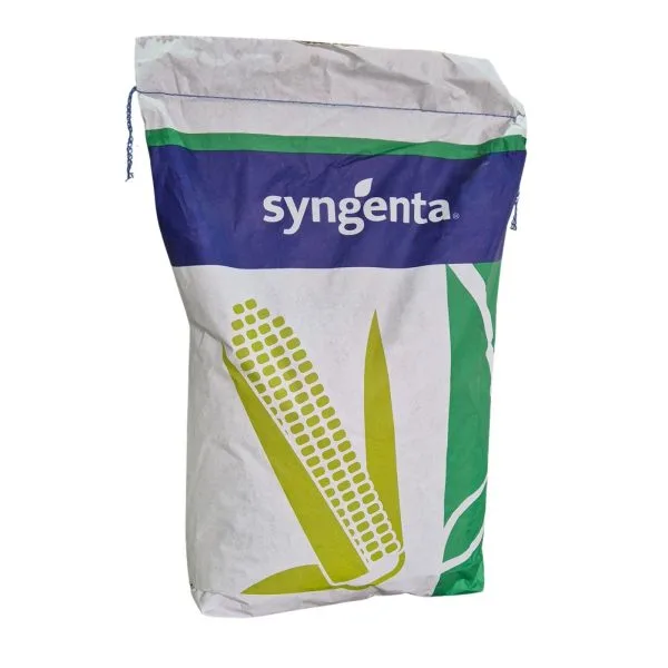 Semințe Porumb Syngenta SY Chorintos FAO 300–340 – Sac 50.000 boabe