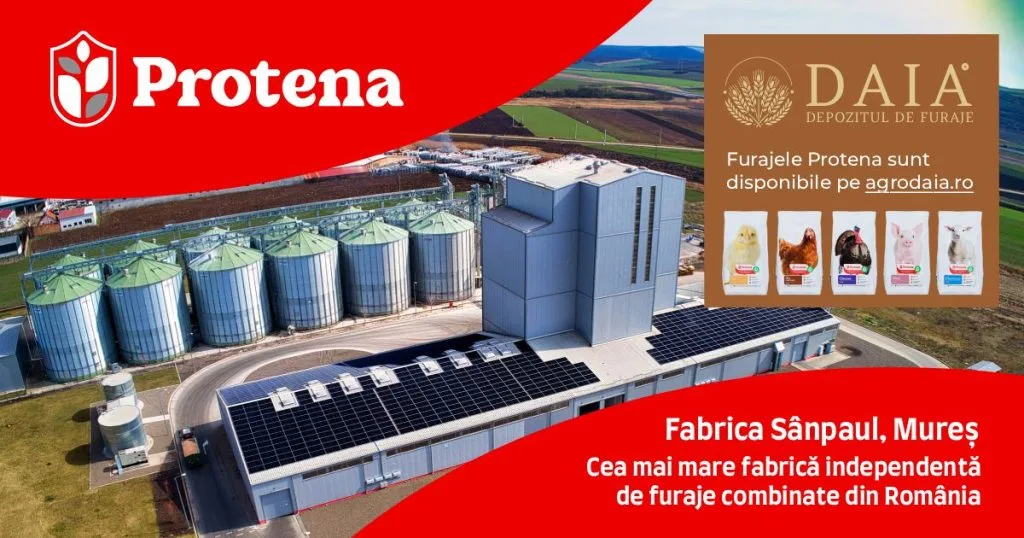 Furajele Protena la Agro Daia