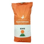 Semințe Porumb KWS KASHMIR FAO 370 Plus4Grain sac 50000 boabe hibrid pentru boabe