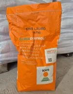 Semințe Porumb KWS LAURO, FAO 300, Grupa ClimaControl3 - Sac 50.000 boabe - imagine 2