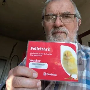 castigator furaj pui protena