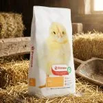 Furaj Pui Crestere Protena 10 kg detaliu granule — formula echilibrata pentru spor uniform broiler