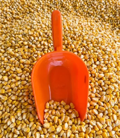 Scafa furaje din plastic orange – vedere detaliu, usoara si rezistenta
