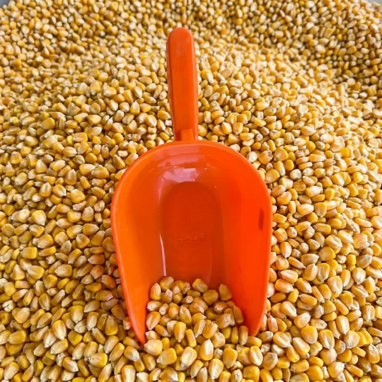 Scafa furaje din plastic orange – vedere detaliu, usoara si rezistenta
