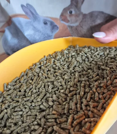 Furaj iepuri Cuni Plus cu Coccidiostatic Versele 20 kg