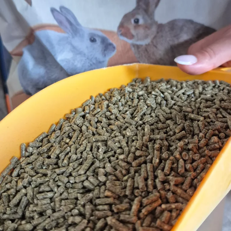 Furaj iepuri Cuni Plus cu Coccidiostatic Versele 20 kg