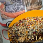 hrana porumbei toate anotimpurile 20kg versele