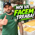 Pachet Furaje Scroafe în Lactație 2x Mălai Furajer + 2x Tărâțe de Grâu + 1x Sano Protamino Matra - imagine 2