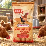 Furai Gaini Ouatoare Versele Laga 20kg - imagine 3